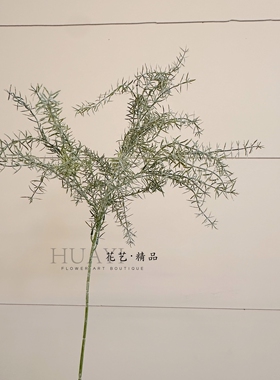 雾感蓬松树枝雪松枝天门冬草仿真绿植迷迭香千层金插花配材绿植