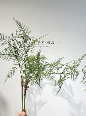 仿真植物文竹日式样板间单支