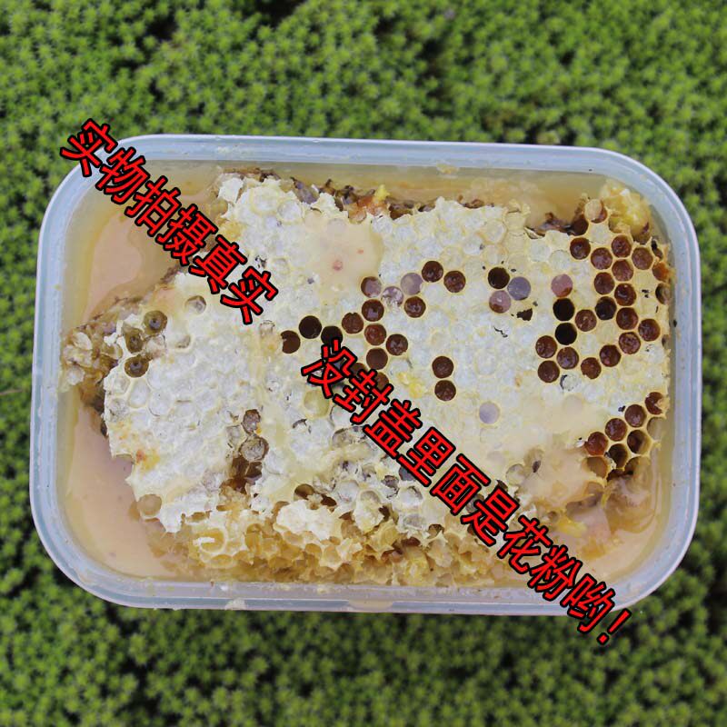 武陵山老蜂巢蜜野生蜂蜜 土蜂蜜蜂蜜圆桶一年一次蜂巢蜜500克包邮