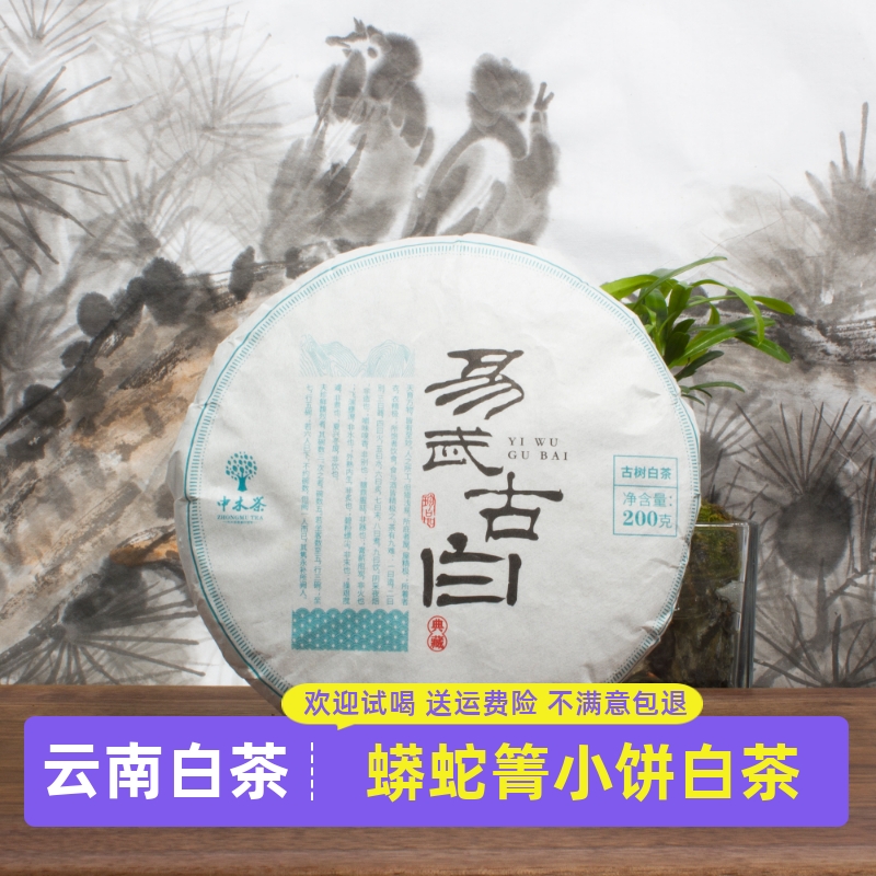 中木白茶小饼蟒蛇箐古白