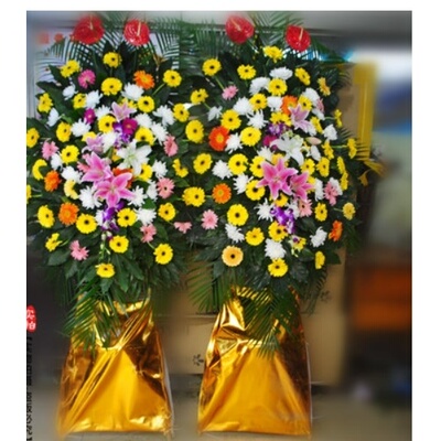 安阳殷都区安阳县辅岩路大宇·新天地鲜花店速递白事花圈菊花