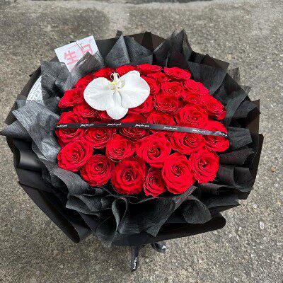 晋江市南安市惠安县安溪县将乐泰