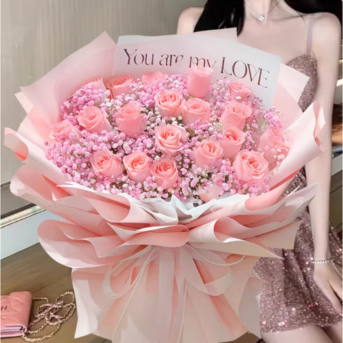 保定徐水定兴安新易县曲阳安国市