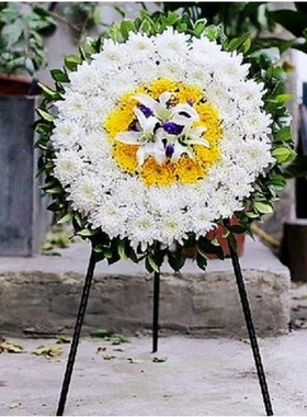 永春县万星文化广场环城路德化县医院鲜花店速递白事花圈清明节