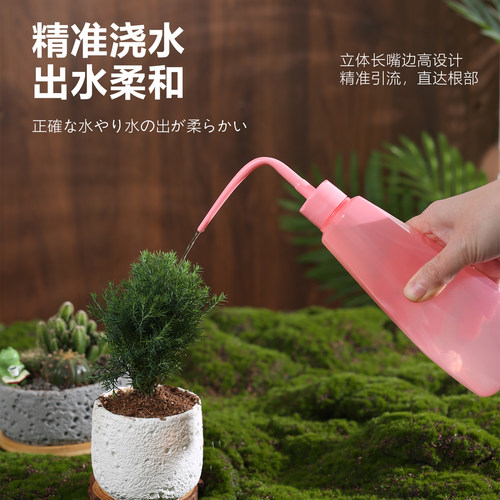日本迷你浇花壶多肉植物洒水壶