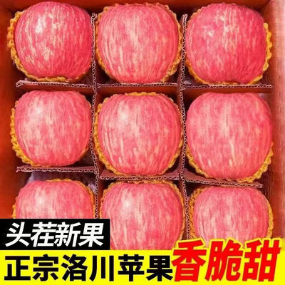 新鲜水果冰糖心正宗洛川红富士苹果脆甜整箱现摘一级精品产地直发