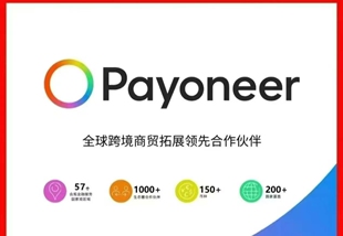 派安盈注册教学，指导，辅助。payomeer相关疑难问题解答。