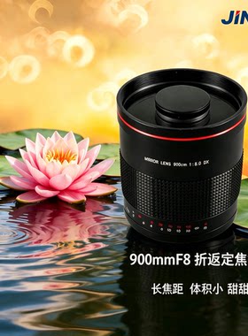 美国900mm长焦折返镜头F8.0手动对焦适用于佳能尼康野生动物风景