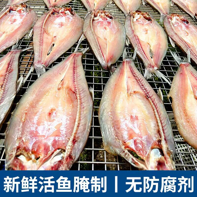 刁子鱼风干翘嘴鱼湖北洪湖特产腌制水产阳干鱼大白刁白条商用