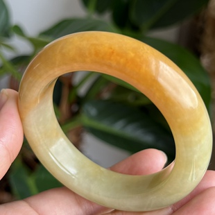天然岫玉辽阳花玉鸡油黄俏色手镯53口径半壁江山鸿运当头可盘玩