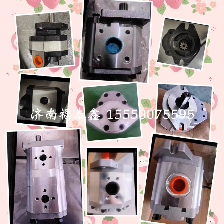 齿轮泵CB-FC型-10/16/20/25/32/40/50/63 拍时确定键型和旋转方向