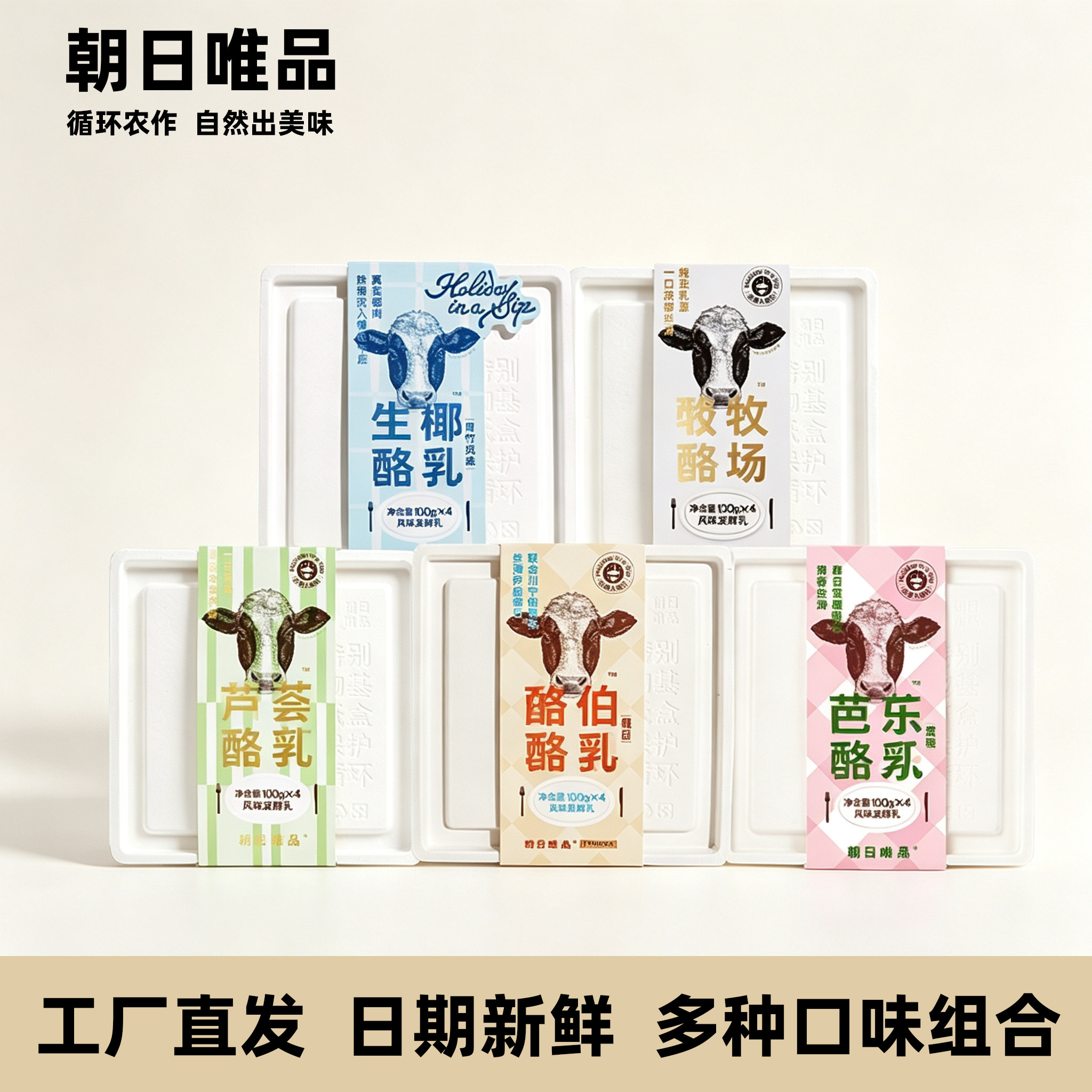 朝日唯品低温酪乳酸奶顺丰包邮