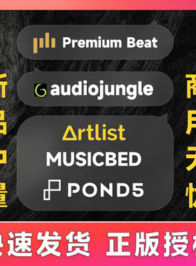 premiumbeat正版artlist audiojungle正版代购pond5 musicbed素材