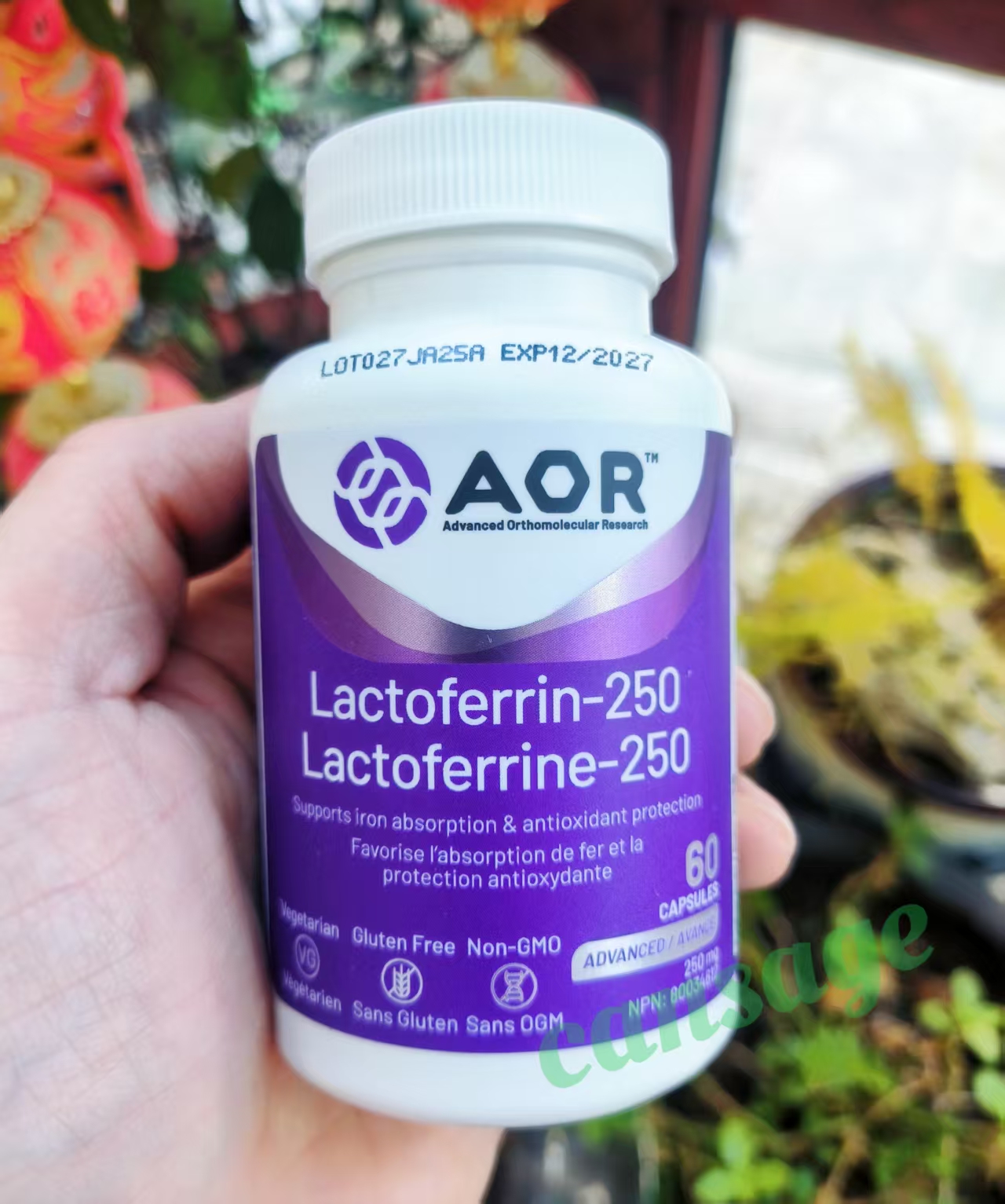 AORLactoferrin-250乳铁蛋白