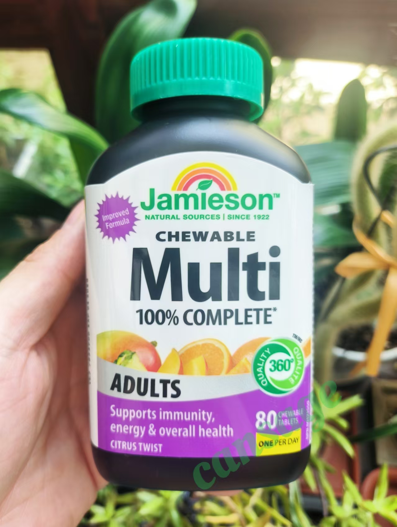 Jamieson/健美生多维咀嚼片水果