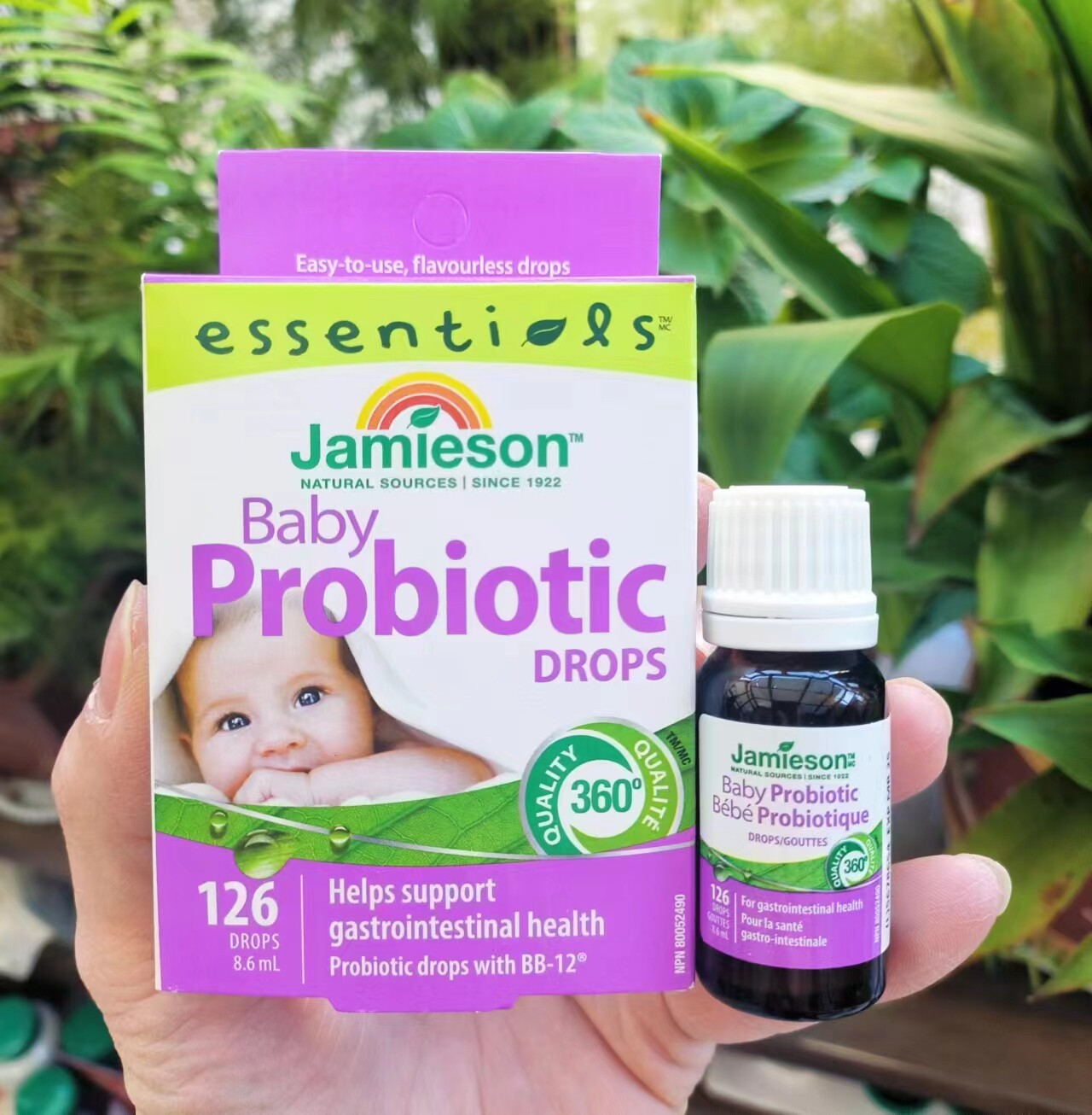代购 加拿大jamieson健美生 婴儿幼儿益生菌滴剂  8毫升