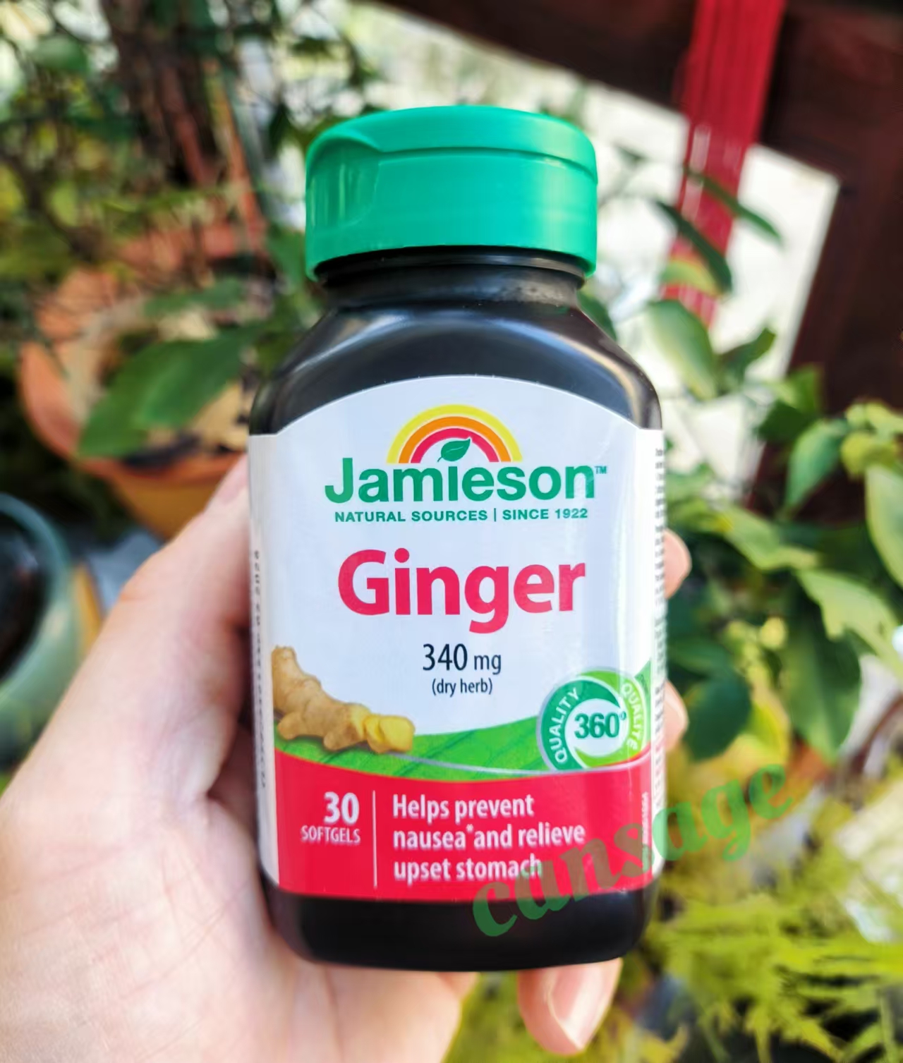 jamieson健美生Ginger生姜精华