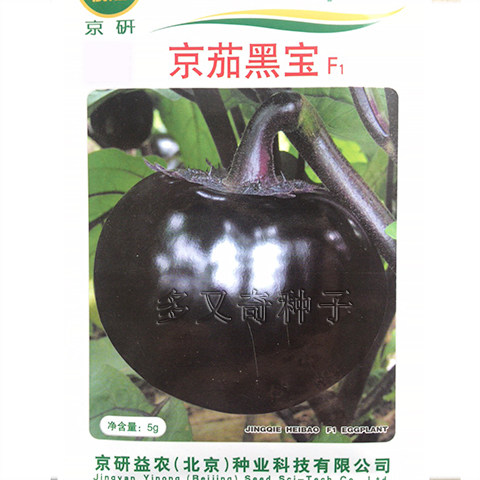 京茄黑宝茄子种子 早熟耐低温  春播紫黑圆茄种子 京研茄子种子5g图片