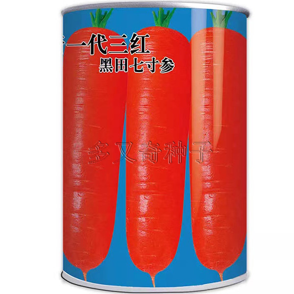 三红黑田七寸参胡萝卜种子秋播三红率高劣根歧根少肉质细嫩蔬菜籽