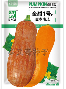 金甜1号南瓜种子 中早熟牛腿南瓜大果蜜本南瓜籽老瓜甜面春秋蔬菜
