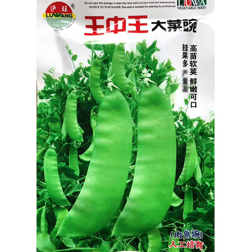王中王荷兰豆种子 南方秋播白花双软荚高秧菜豌豆荚种子蔬菜种子