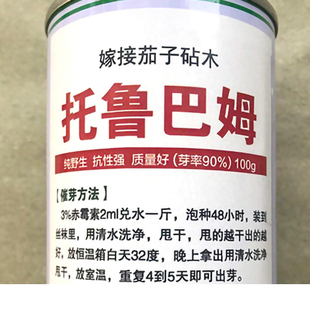 托鲁巴姆茄子砧木种子 春夏秋播茄子嫁接专用砧木籽蔬菜砧木种子