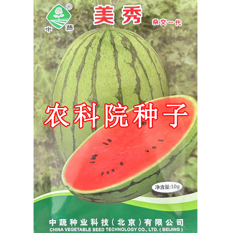 美秀西瓜种子 中国农科院小型西家庭园艺种子