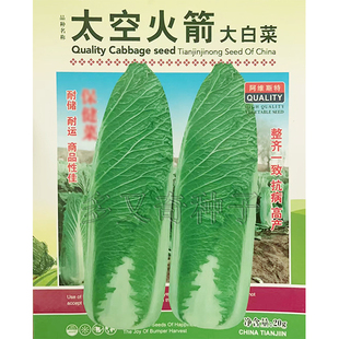 太空火箭白菜种子 秋播黄心包尖大白菜籽抗病耐贮运开锅烂口感好