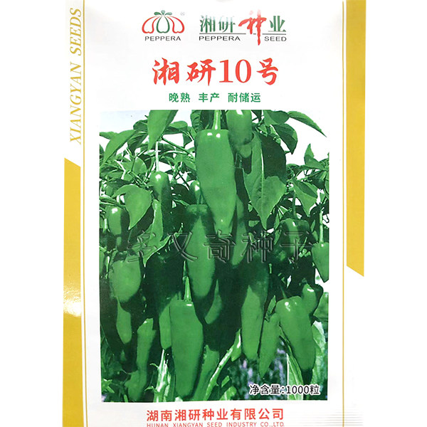湘研10号辣椒种子 湘研辣椒种肉厚抗绿色牛角椒种子南方秋辣椒籽