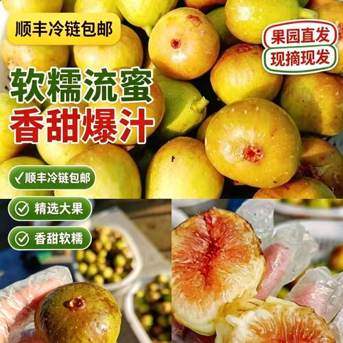 【顺丰冷链】无花果新鲜当季现摘冰糖心无花果孕妇水果果园直发