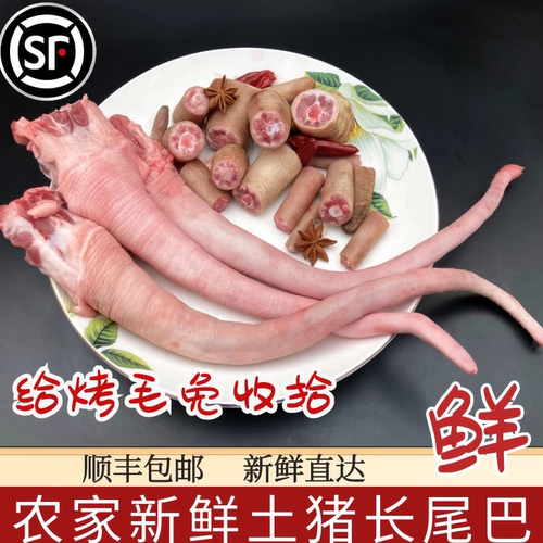尾巴农家土猪新鲜冷冻1根毛免