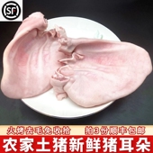 猪耳朵 包邮 新鲜冷冻500g 农家现宰猪耳免收拾猪蹄猪舌土猪肉三斤