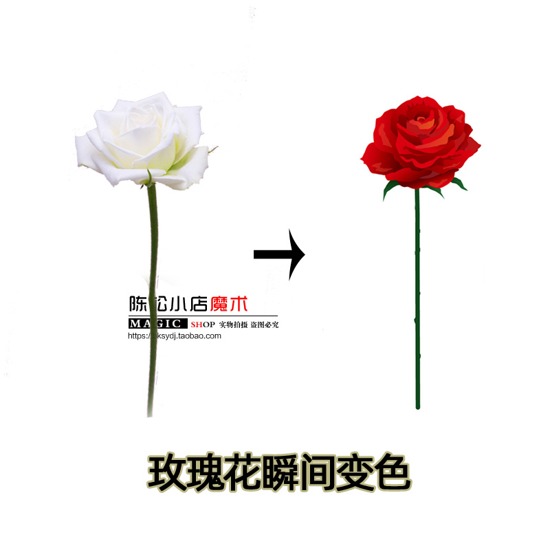 Rose2.0 Color change 玫瑰变色大花朵带磁版本近景儿童魔术道具 模玩/动漫/周边/娃圈三坑/桌游 魔术道具 原图主图