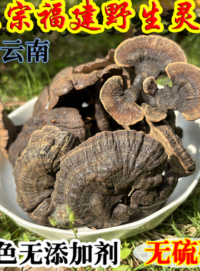 灵芝野生正品福建黑灵芝可打粉泡酒非云南西藏赤灵芝紫灵芝片正宗