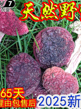 红菇纯野生香菇干货福建三明红椎菌500g武夷山月子红姑正宗红蘑菇