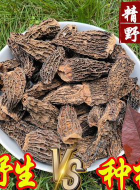 野生羊肚菌干货云南特产菇蘑500g头茬官方旗舰店新鲜礼盒装牛肚菌