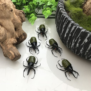 仿真动物昆虫模型独角仙儿童认知识物用具标本收藏品磁性冰箱贴