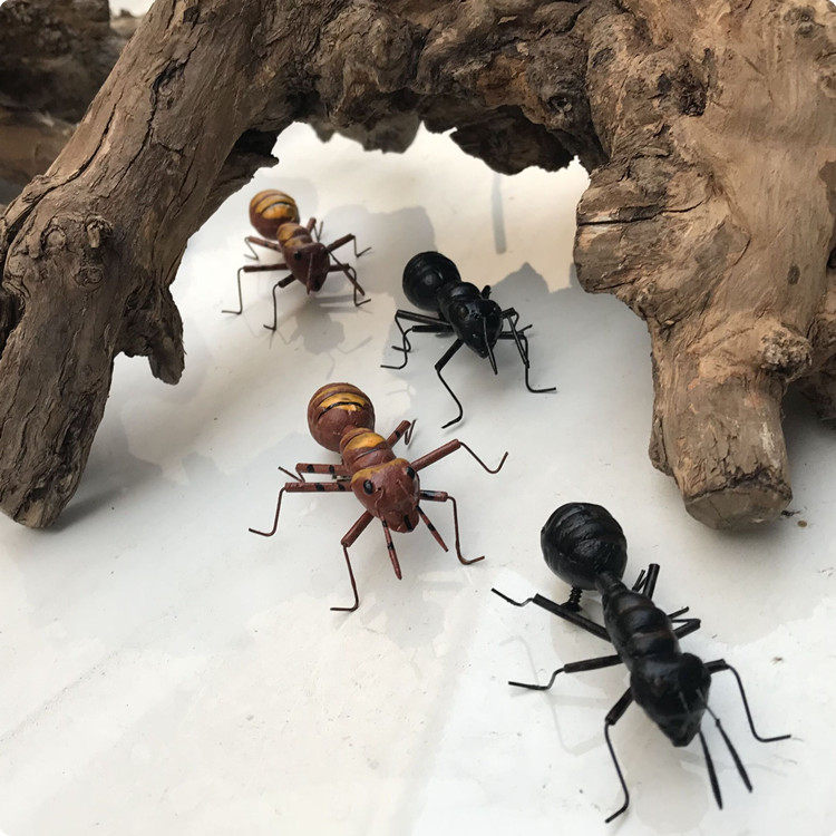 仿真昆虫模型蚂蚁教学磁铁贴教具小动物泥土工艺品摆件磁性冰箱贴