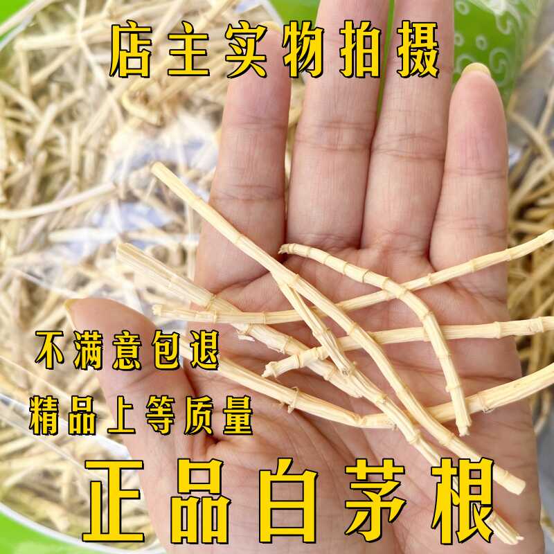 野生白茅根中药材500g白毛根干白茅根茶生白茅根特级无硫白茅根 传统滋补营养品 其他药食同源食品 原图主图