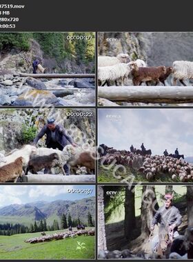 哈萨克族牧民骑马驱赶羊群过独木桥翻山越岭高清实拍视频素材