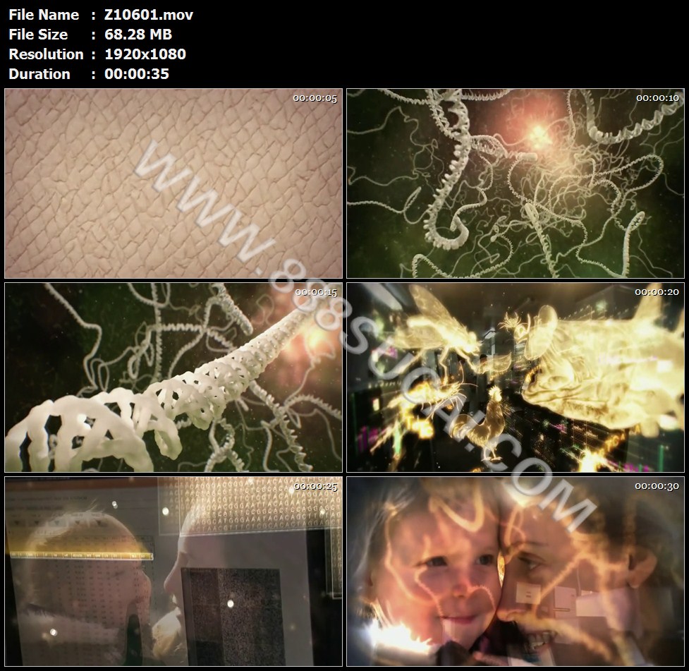 人类手掌皮肤细胞DNA双螺旋链条科技研究生物高清实拍视频素材