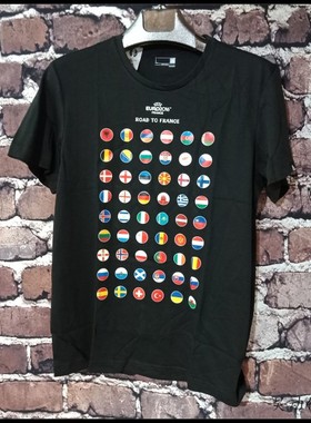 昊动  阿迪达斯男足球欧洲杯短袖T恤AI5602 AO3905  AI5641