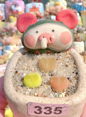 H 蟠桃1c m 3个 不含盆