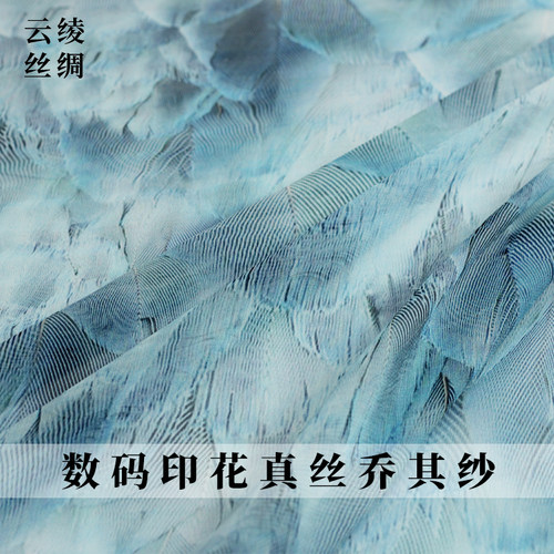 云绫桑蚕丝女乔其纱抽象羽毛印花