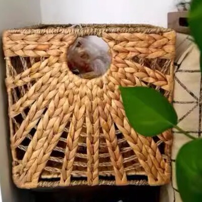 路缇库热篮自然色凤眼蓝/海草