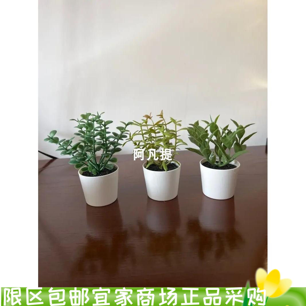菲卡人造盆栽带花盆,3件套