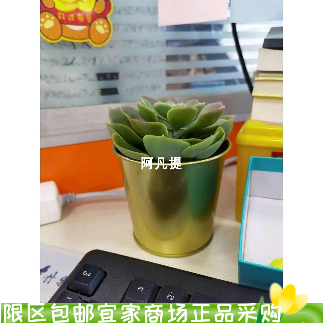 宜家戴戴装饰用花盆黄铜色桌面摆件简约小号创意可爱家用铁笔筒