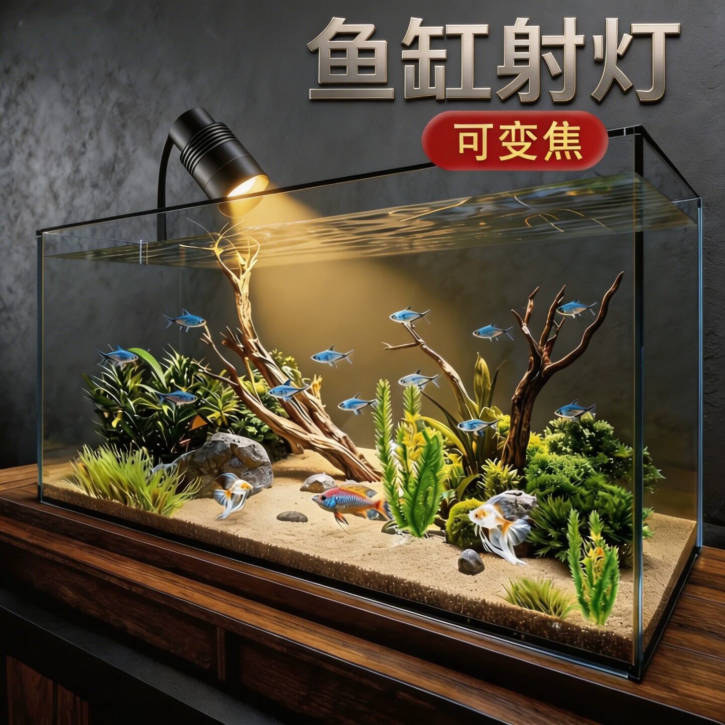 鱼缸灯变焦南美射灯原生溪流缸灯水族观赏灯照明led水草灯南美缸