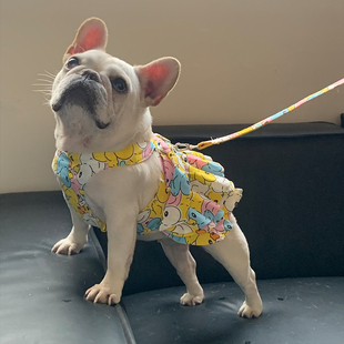 春夏款法斗巴哥斗牛犬比熊博美衣服可爱公主吊带裙薄款肩带裙潮牌