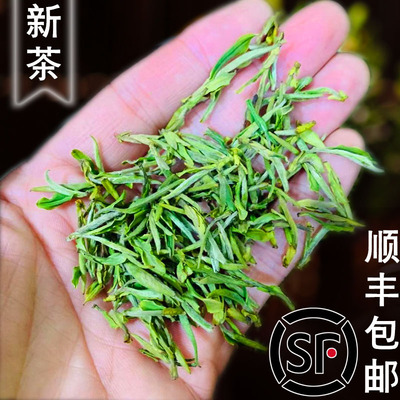 明前绿茶春茶散装茶叶舒城小兰花